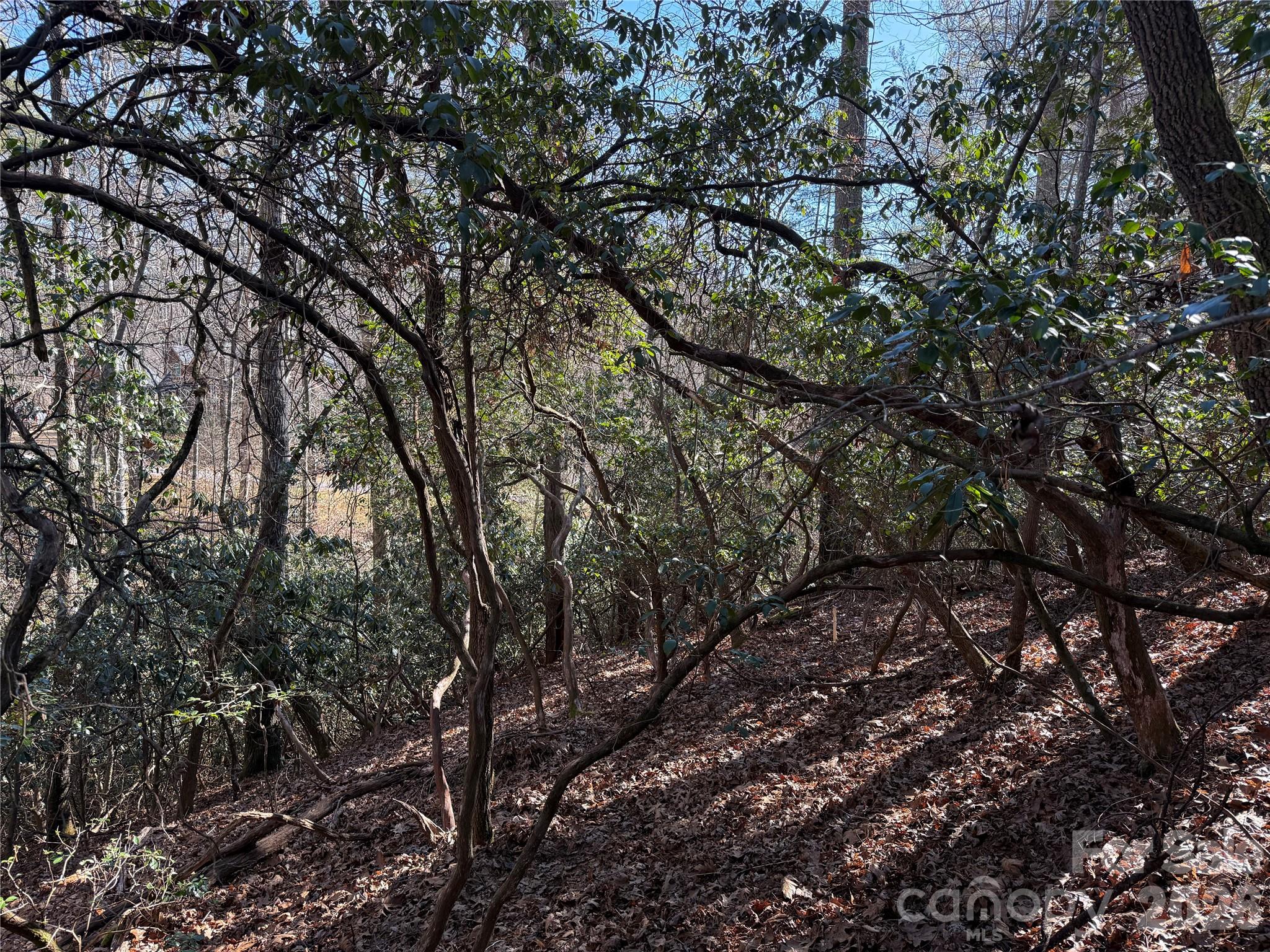 Lot 57 Stone Field Trail Brevard, NC 28712 - Photo 7 of 9