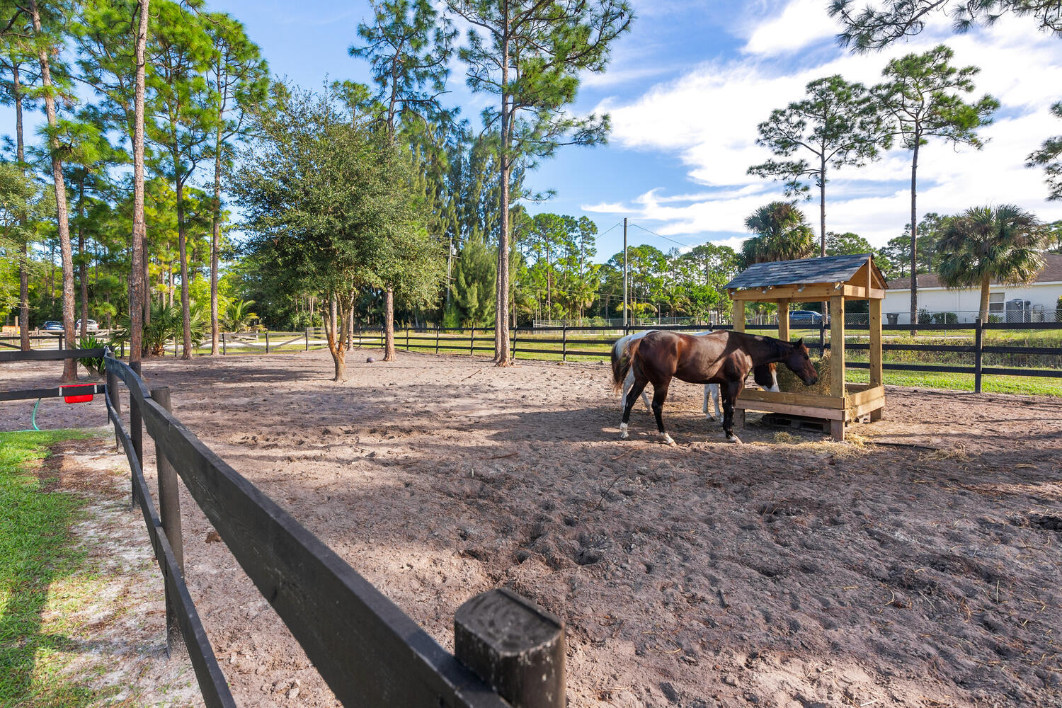 17270 72nd Road North Loxahatchee, FL 33470 - Photo 12 of 48 17270 72nd Rd N