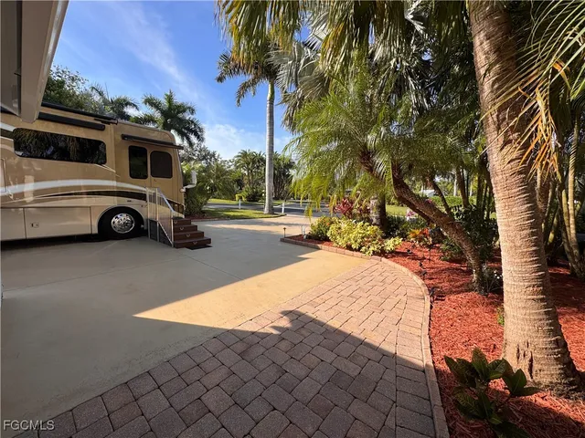 a park with full of palm trees