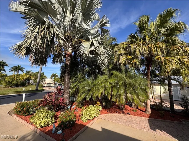 a view of a yard with plants
