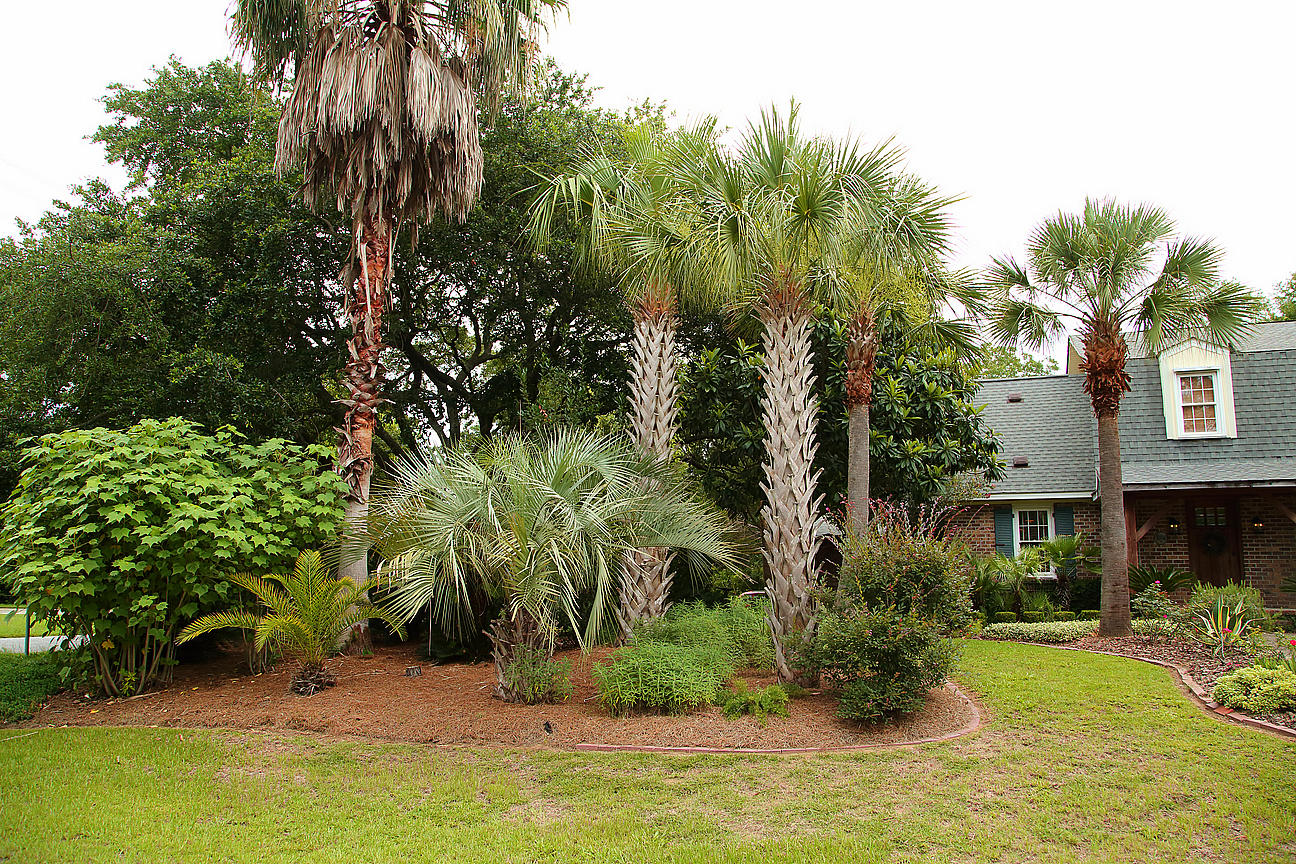 1084 Ripley Drive Charleston, SC 29412 - Photo 2 of 100 IMG_6765
