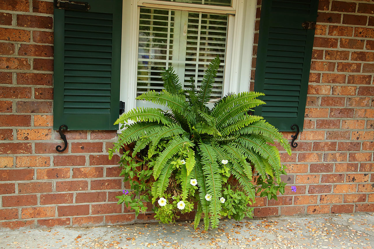 1084 Ripley Drive Charleston, SC 29412 - Photo 15 of 100 IMG_6793