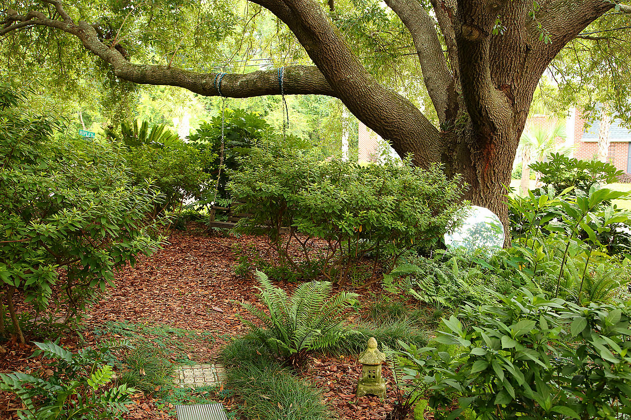 1084 Ripley Drive Charleston, SC 29412 - Photo 19 of 100 IMG_6806