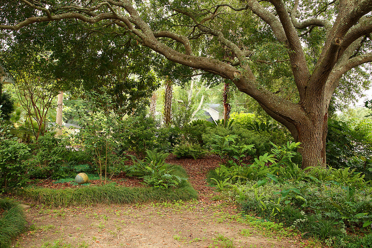 1084 Ripley Drive Charleston, SC 29412 - Photo 21 of 100 IMG_6815