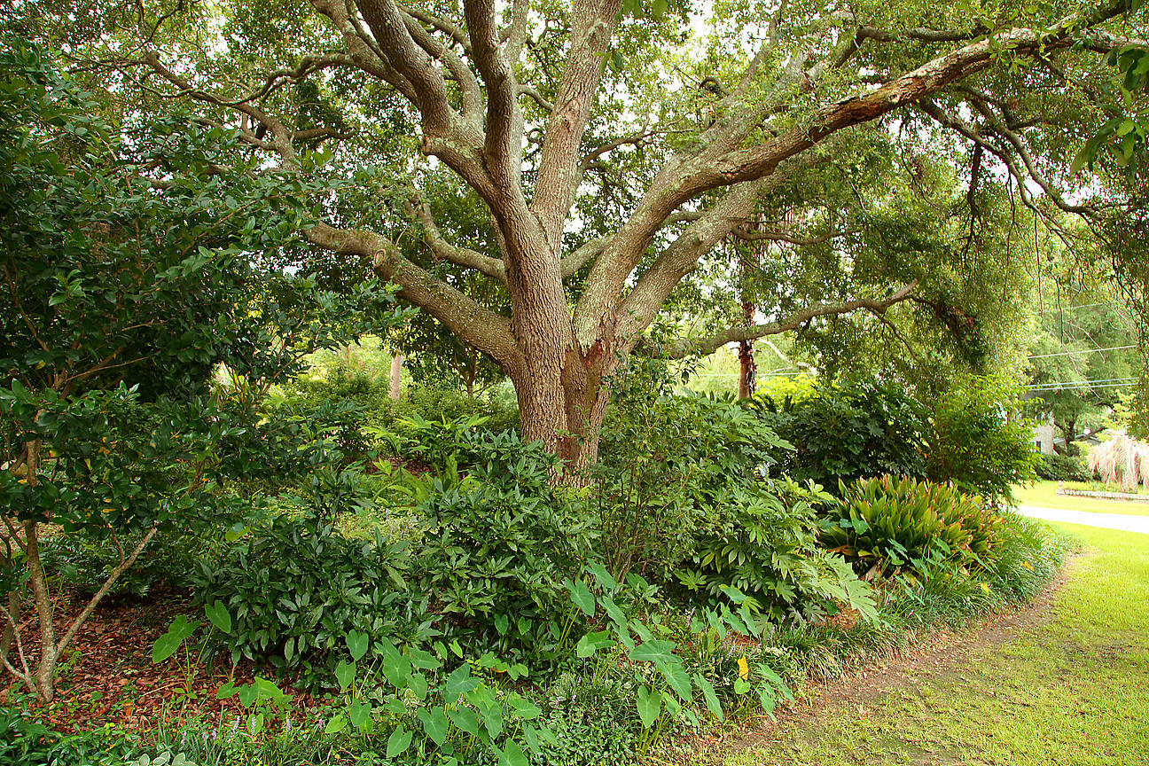 1084 Ripley Drive Charleston, SC 29412 - Photo 22 of 100 IMG_6820