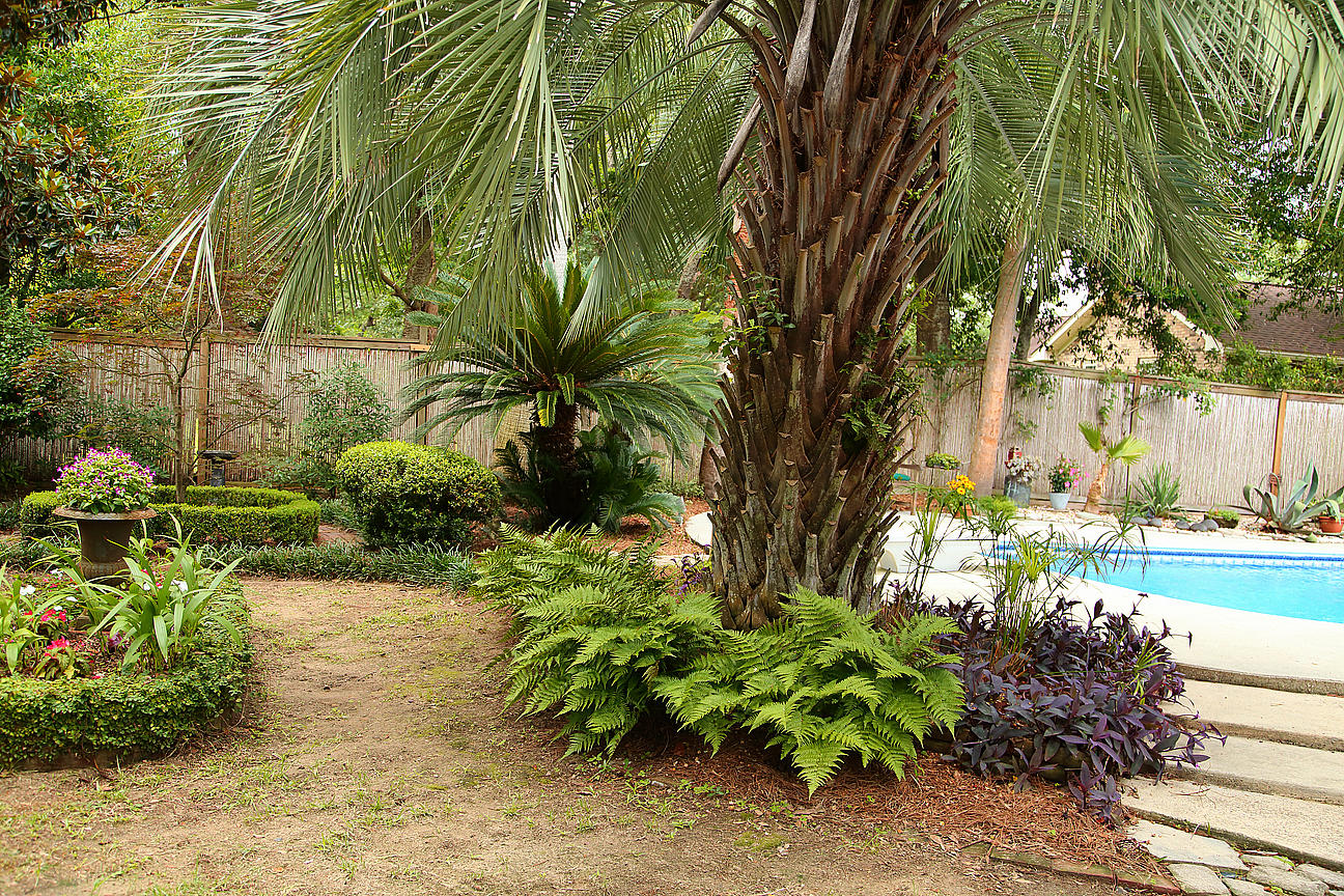 1084 Ripley Drive Charleston, SC 29412 - Photo 24 of 100 IMG_6867