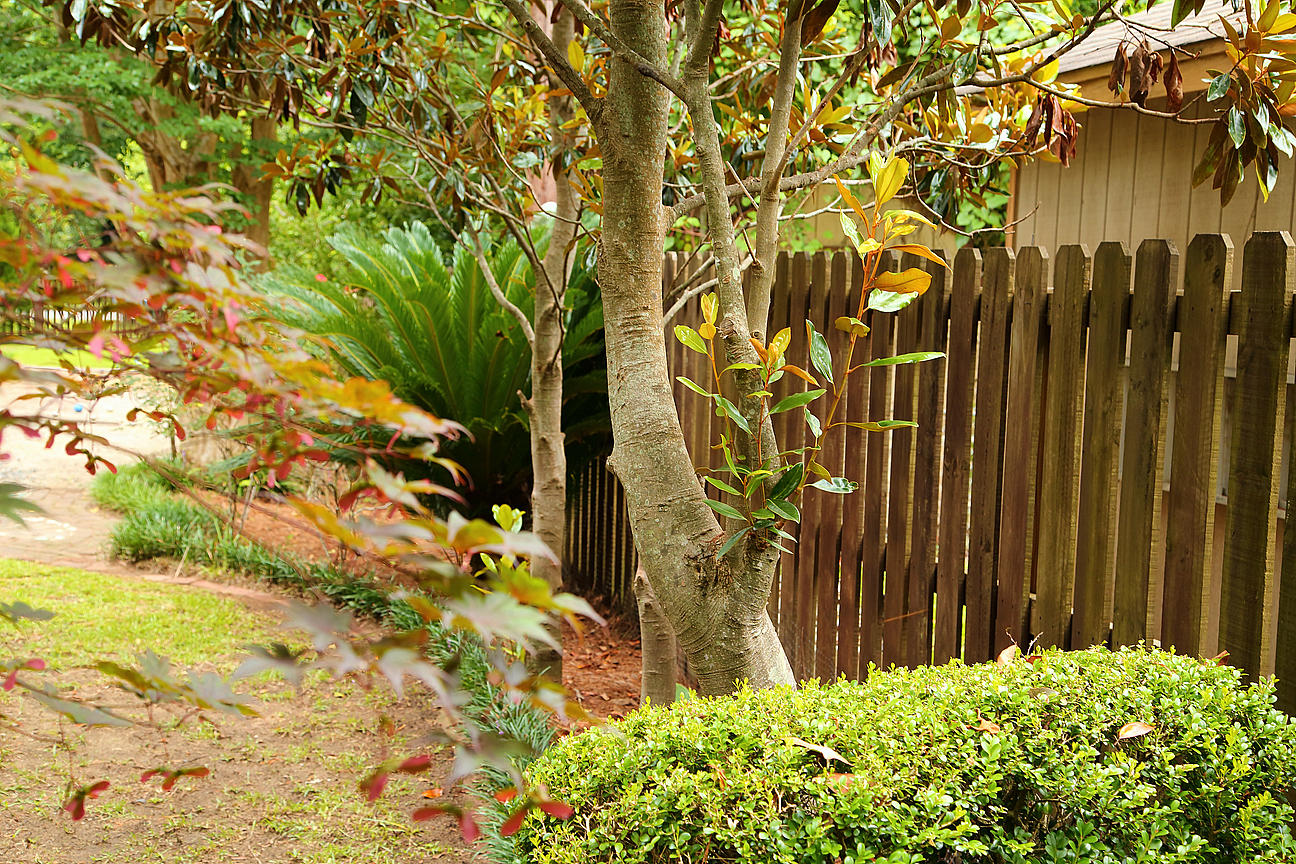 1084 Ripley Drive Charleston, SC 29412 - Photo 31 of 100 IMG_6883