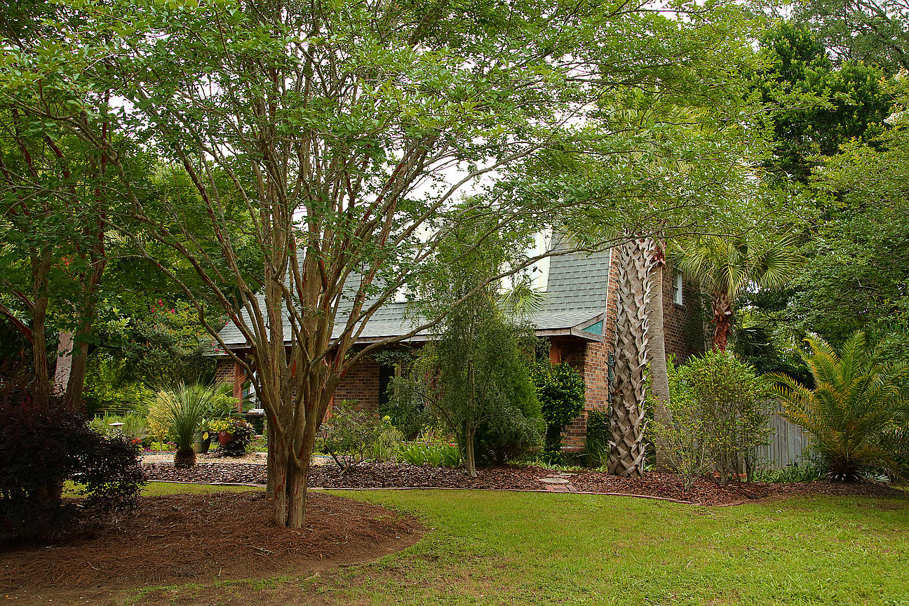 1084 Ripley Drive Charleston, SC 29412 - Photo 5 of 100 IMG_6773