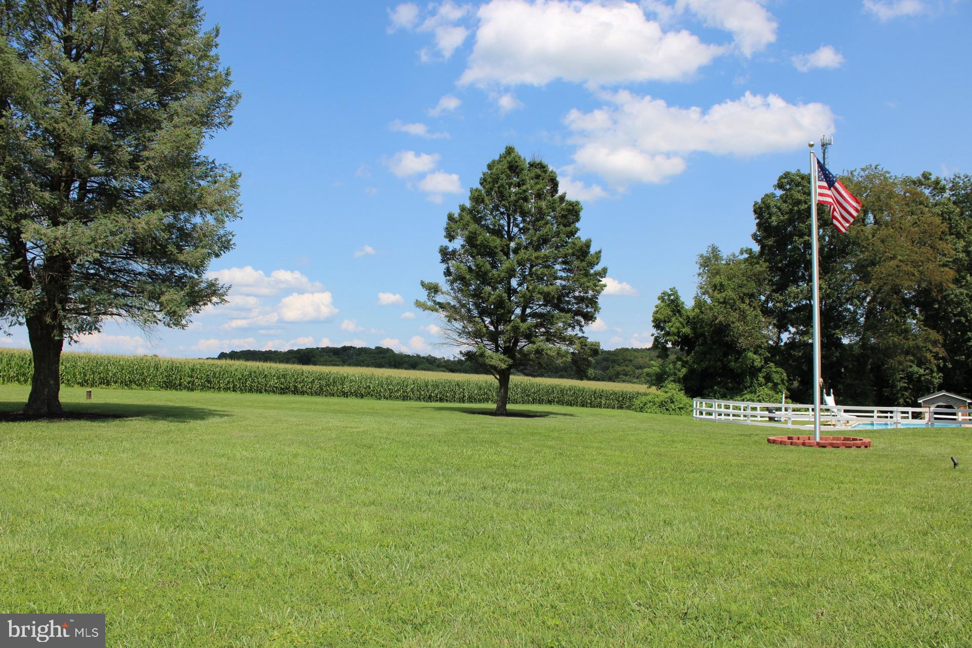 4043 Old York Road Monkton, MD 21111 - Photo 8 of 97 Beautiful pastoral views.