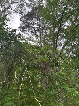 $235,000 | 1500 Robb Street, Summit, MS 39666