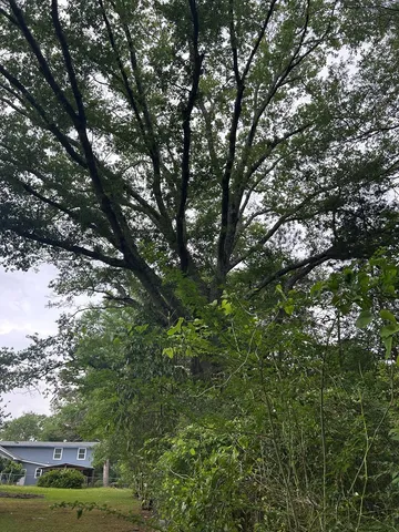 $239,000 | 1500 Robb Street, Summit, MS 39666