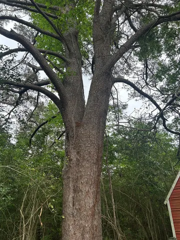 $239,000 | 1500 Robb Street, Summit, MS 39666