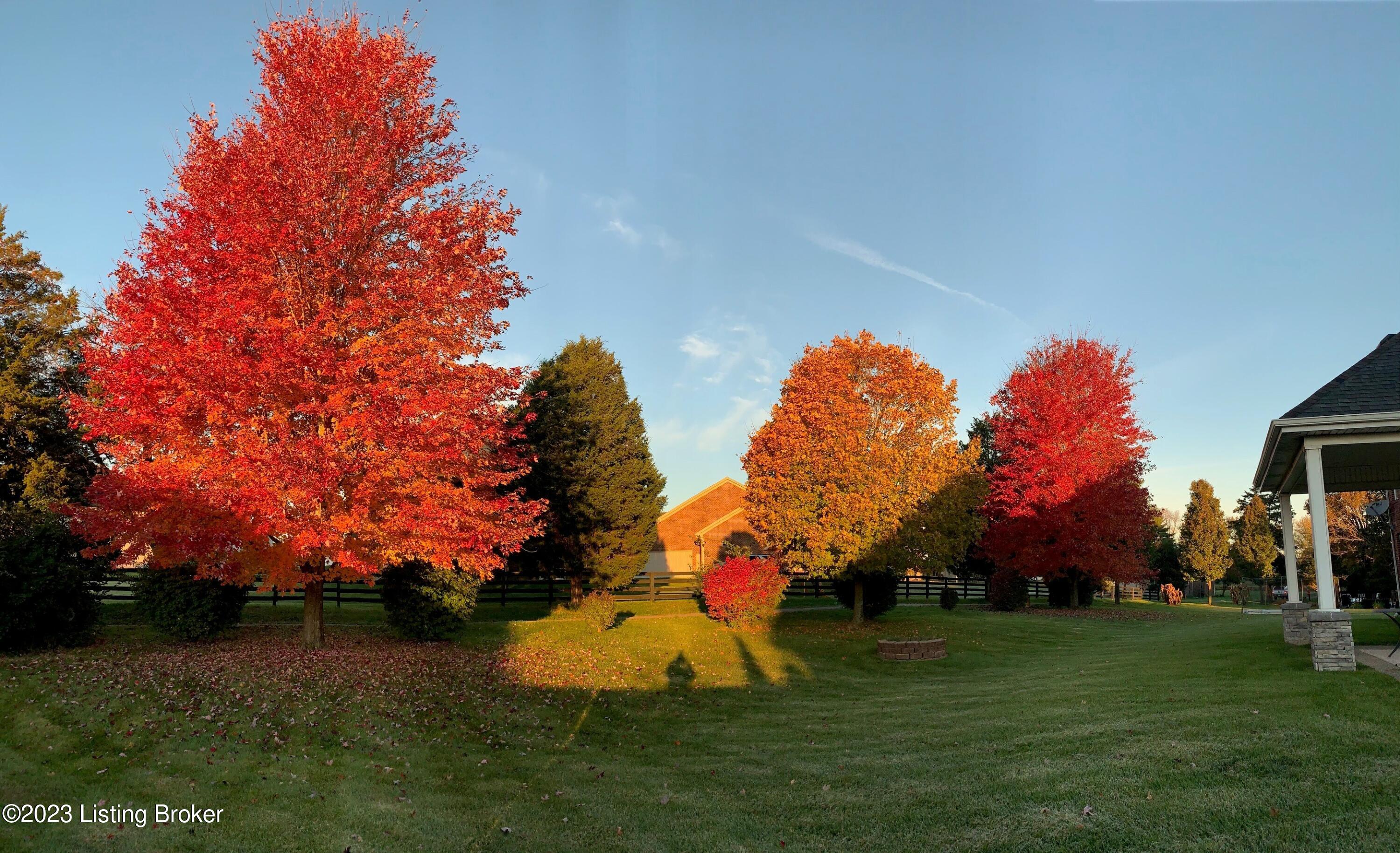 12702 Razor Branch Court Louisville, KY 40299 - Photo 7 of 68 backyard in autumn