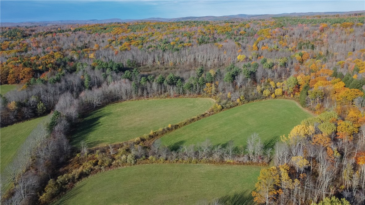 285 Shew Hollow Road Jefferson, NY 12093 - Photo 30 of 34