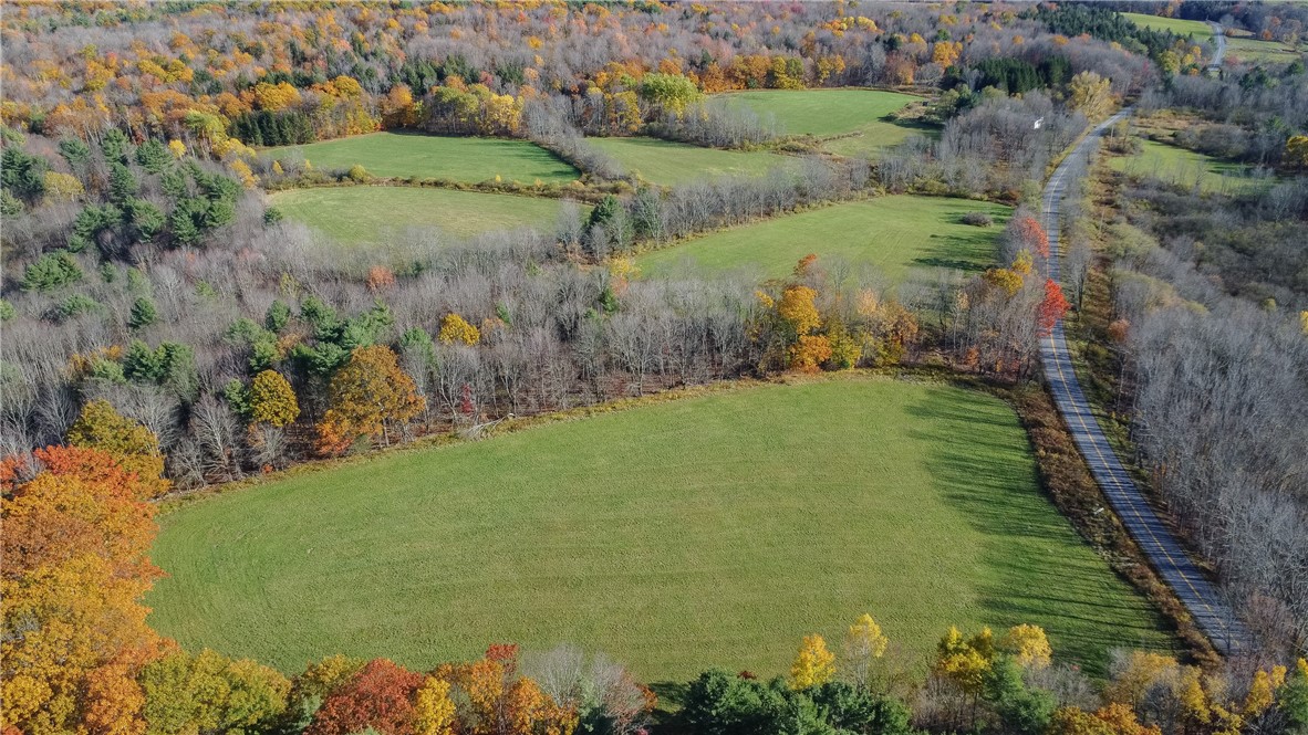 285 Shew Hollow Road Jefferson, NY 12093 - Photo 31 of 34