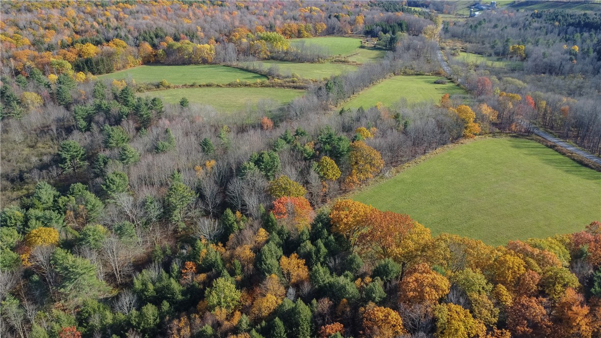 285 Shew Hollow Road Jefferson, NY 12093 - Photo 32 of 34