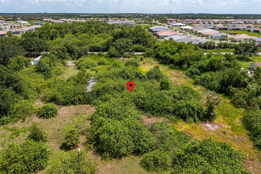 10800 Bill Tucker Road Wimauma, FL 33598 - Photo 5 of 9 a view of outdoor space and a yard