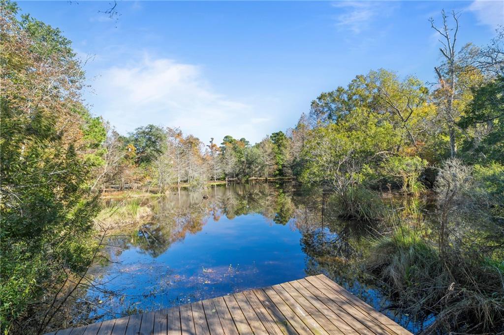 36101 Cemetery Road Slidell, LA 70460 - Photo 43 of 60
