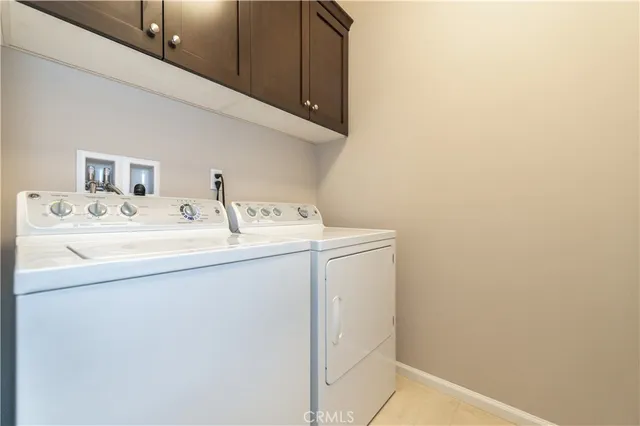 a view of path in between the bunch of plants and trees