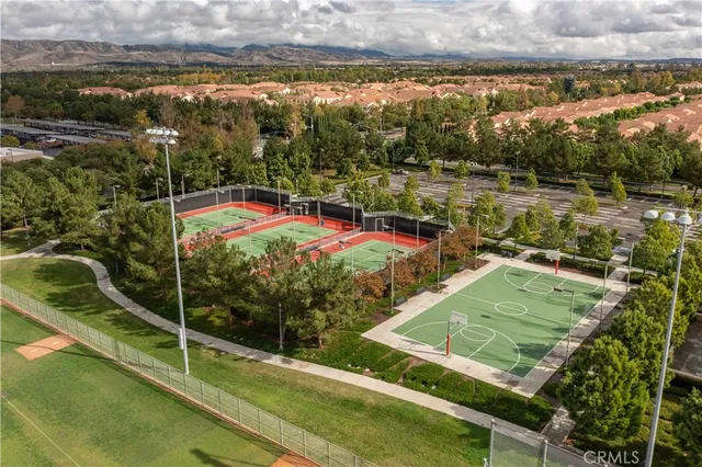 a view of a park with large trees