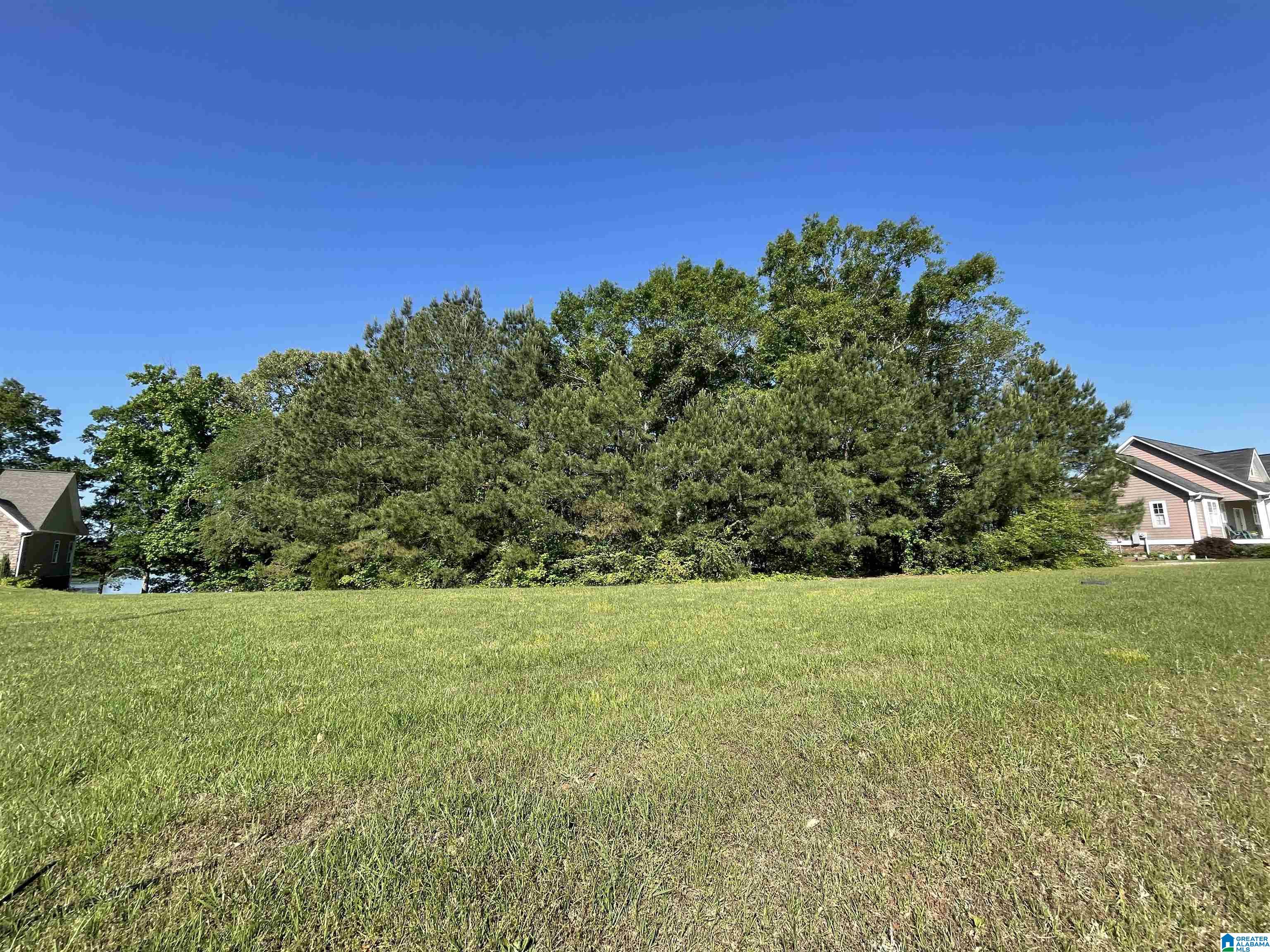 0 Cove Road, Unit 20 Sylacauga, AL 35151 - Photo 3 of 14 Gallery Image 3