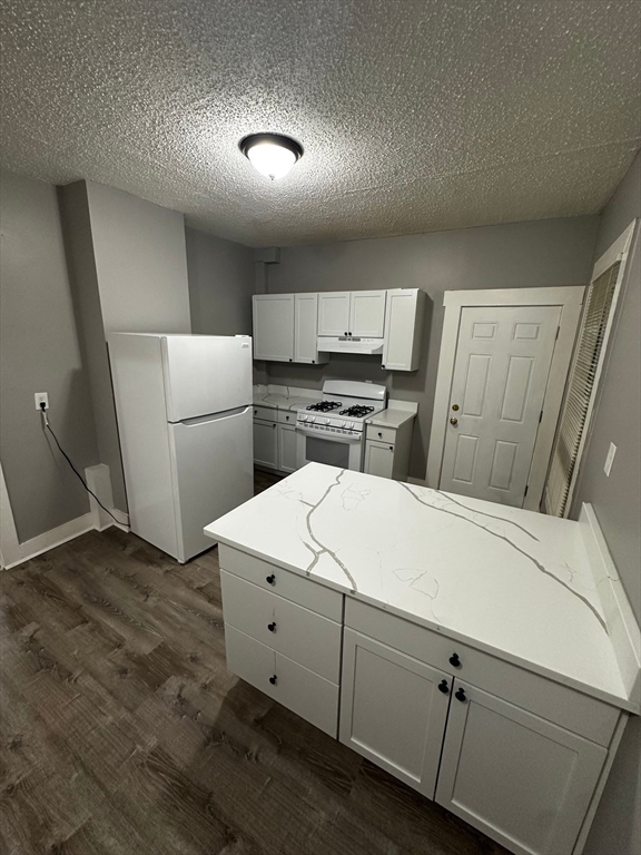 46 Lambert Avenue, Unit 1 Boston, MA 02119 - Photo 4 of 10