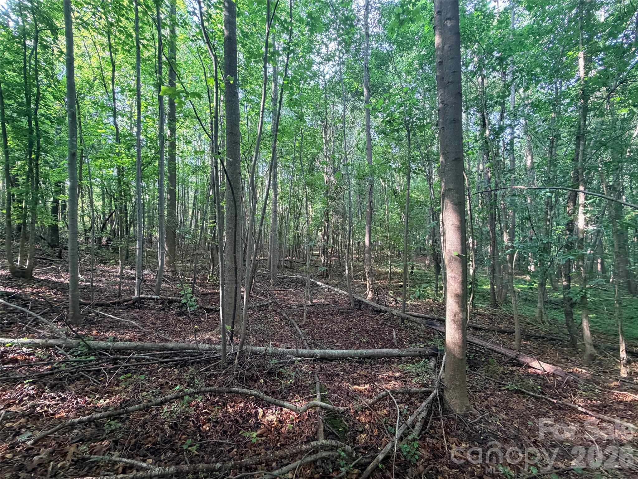 Lot 3 Schenck Farm Road Lawndale, NC 28090 - Photo 5 of 13