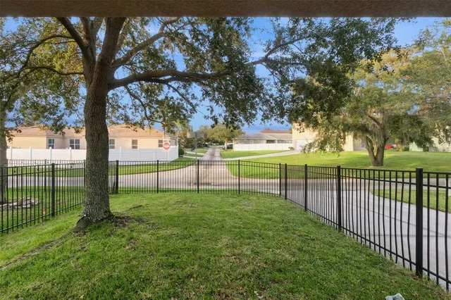 a view of a backyard with large trees