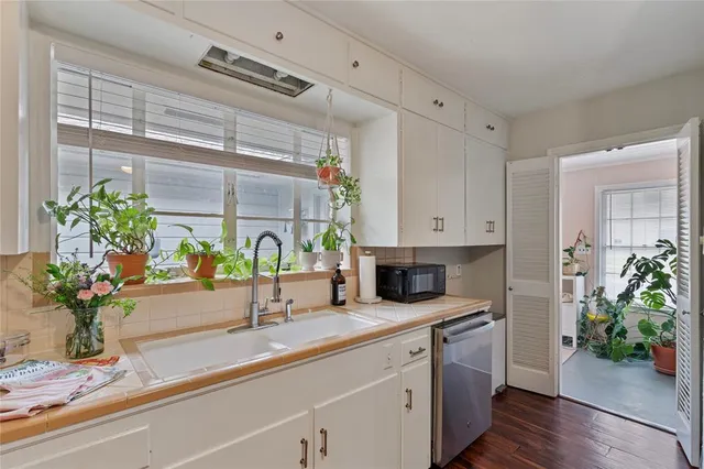 a kitchen with a potted plant on the counter
