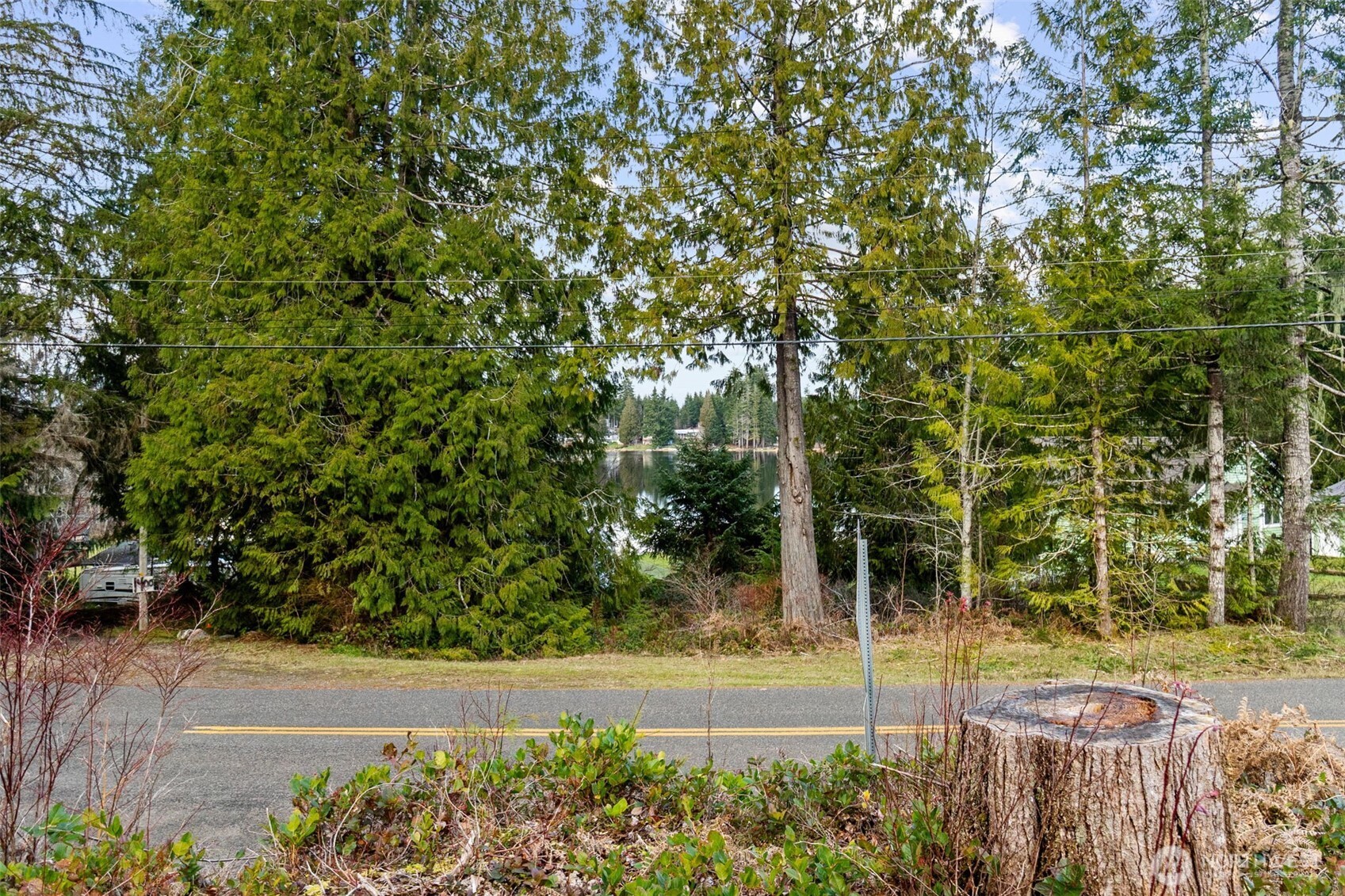 21 West Prairie Loop Road Elma, WA 98541 - Photo 35 of 40 a view of a yard with plants