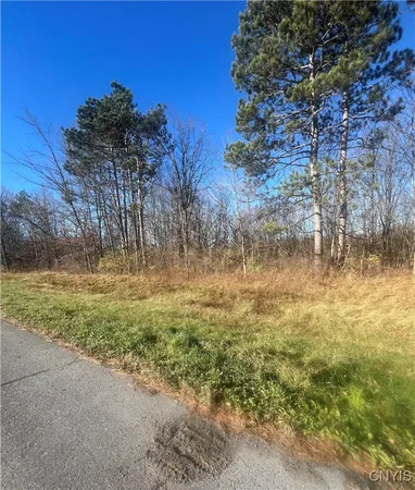 $119,999 | 0 Us Route 11, Antwerp, NY 13608