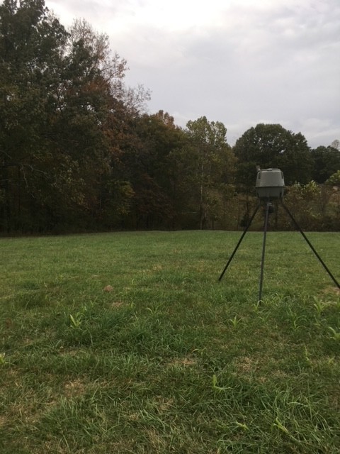 3 Dog Creek Road Primm Springs, TN 38476 - Photo 3 of 3 a view of a backyard