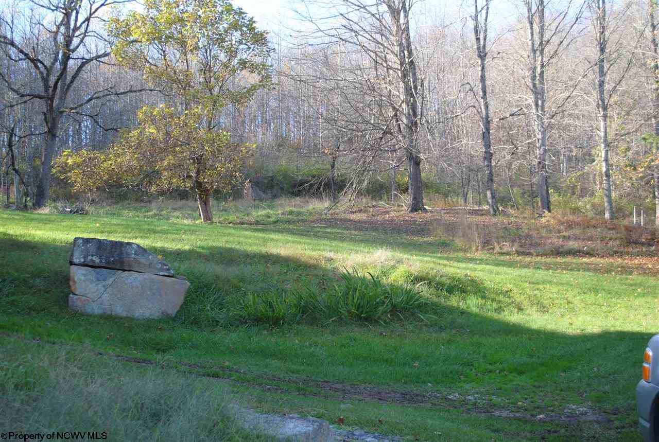 1893 4h Camp Road Philippi, WV 26416 - Photo 11 of 15 Gallery Image 11