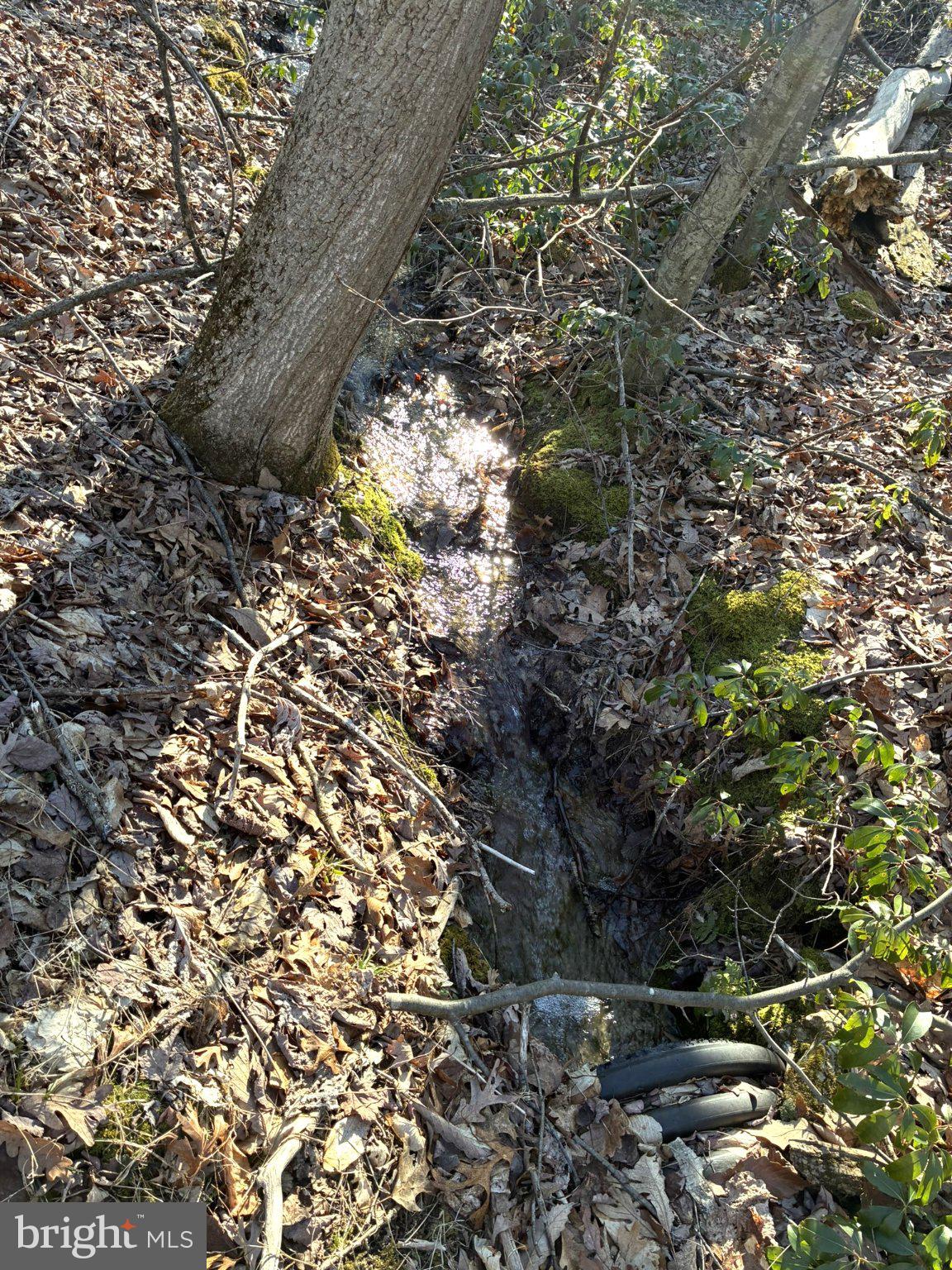 807 Sand Spring Road Beech Creek, PA 16822 - Photo 20 of 30 Nature's hidden stream in autumn.