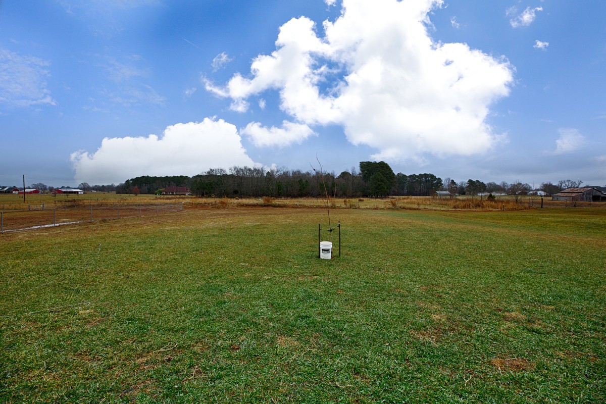 26900 Scoggins Road Elkmont, AL 35620 - Photo 23 of 24