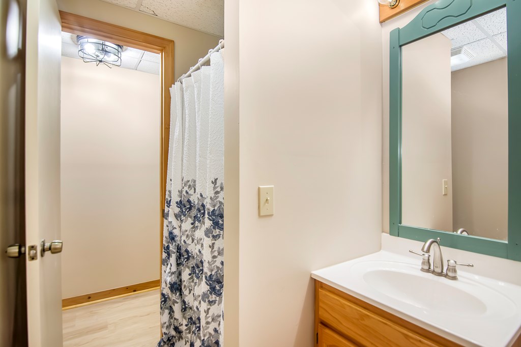 125 Waters Road Ellijay, GA 30536 - Photo 32 of 68 a bathroom with a sink a mirror and a shower