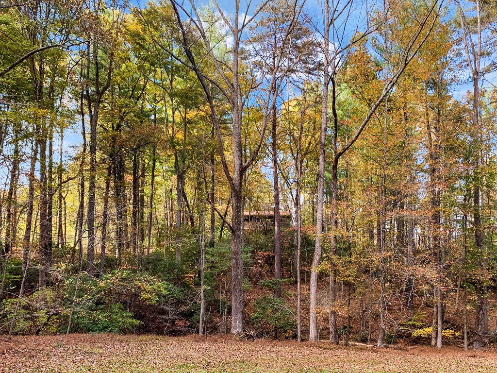 125 Waters Road Ellijay, GA 30536 - Photo 48 of 68 a view of a city street