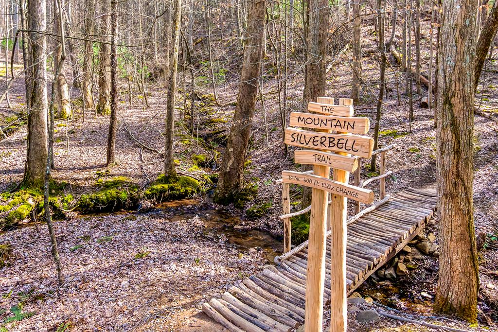 125 Waters Road Ellijay, GA 30536 - Photo 50 of 68 a street sign on a pole