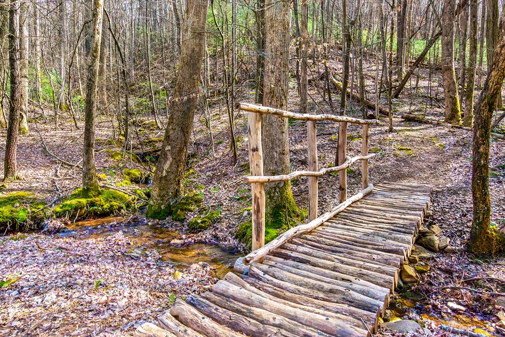 125 Waters Road Ellijay, GA 30536 - Photo 51 of 68 a balcony with view of trees