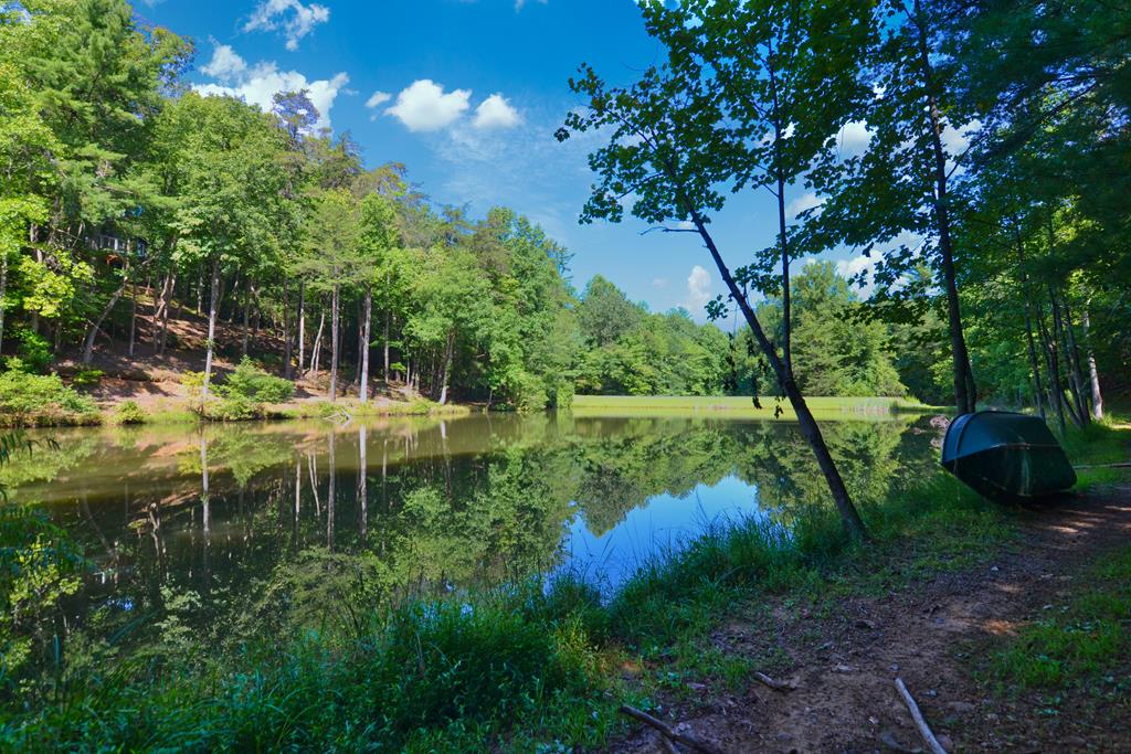 125 Waters Road Ellijay, GA 30536 - Photo 53 of 68 a backyard of a house with lots of green space