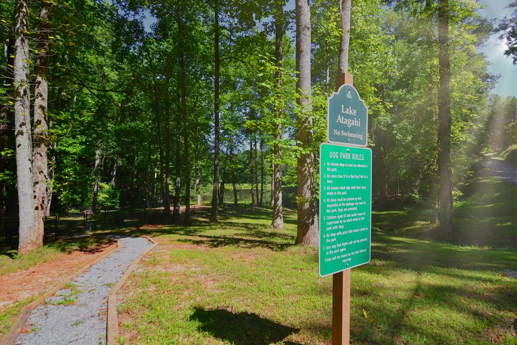 125 Waters Road Ellijay, GA 30536 - Photo 55 of 68 a view of outdoor space and yard