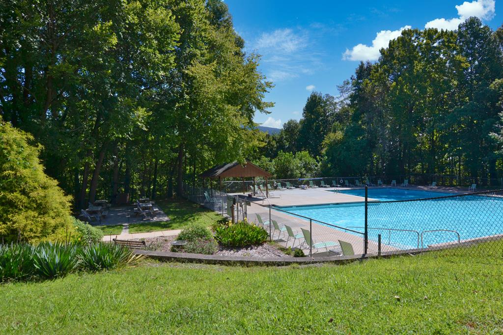 125 Waters Road Ellijay, GA 30536 - Photo 56 of 68 a view of a garden with a slide