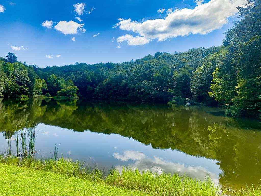 125 Waters Road Ellijay, GA 30536 - Photo 59 of 68 a view of a lake from a yard