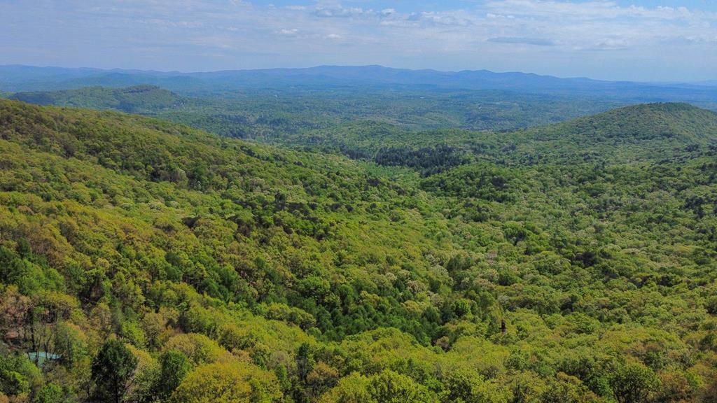 125 Waters Road Ellijay, GA 30536 - Photo 61 of 68 Community View