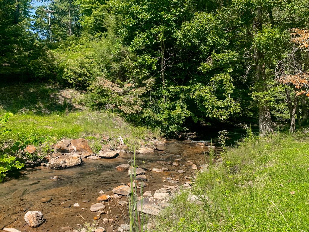 125 Waters Road Ellijay, GA 30536 - Photo 62 of 68 Community Park