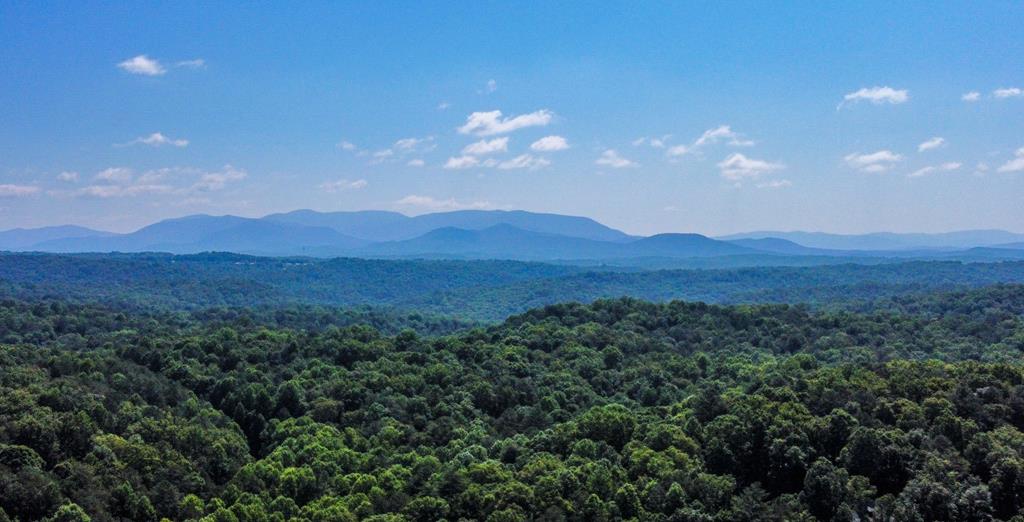 125 Waters Road Ellijay, GA 30536 - Photo 66 of 68 a view of a city and mountains