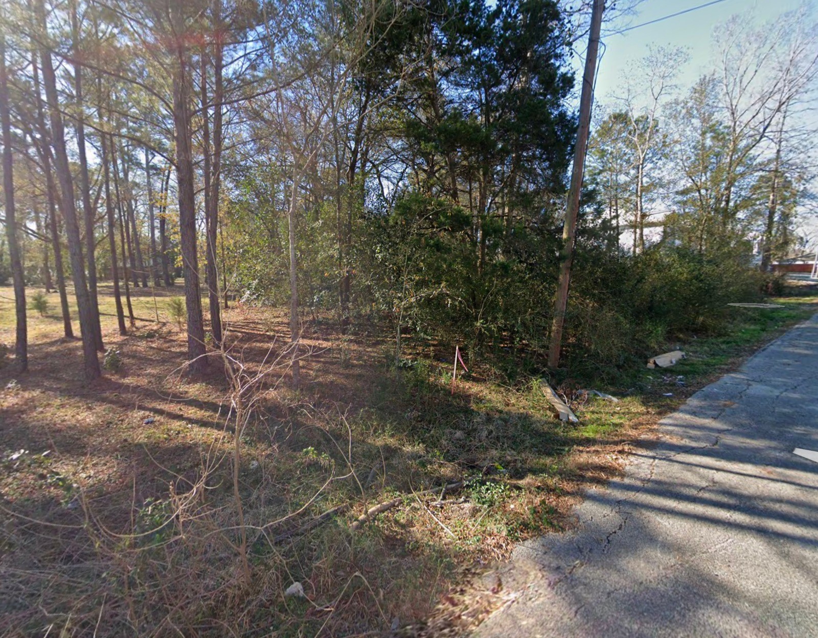 939 Avenue J Place Conroe, TX 77301 - Photo 2 of 8 a view of a forest with trees