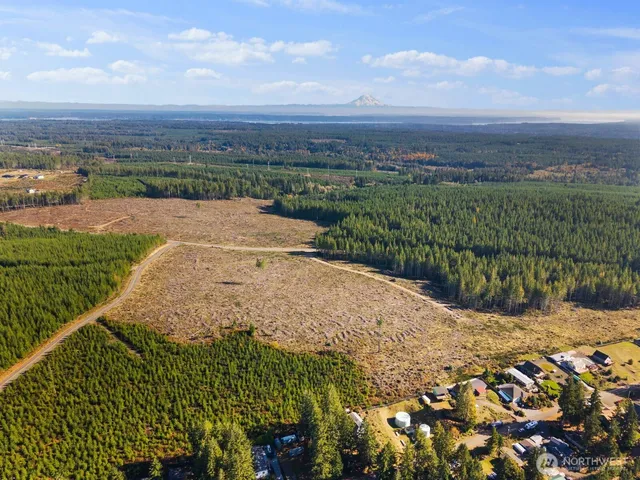 a view of a bunch of trees and bushes