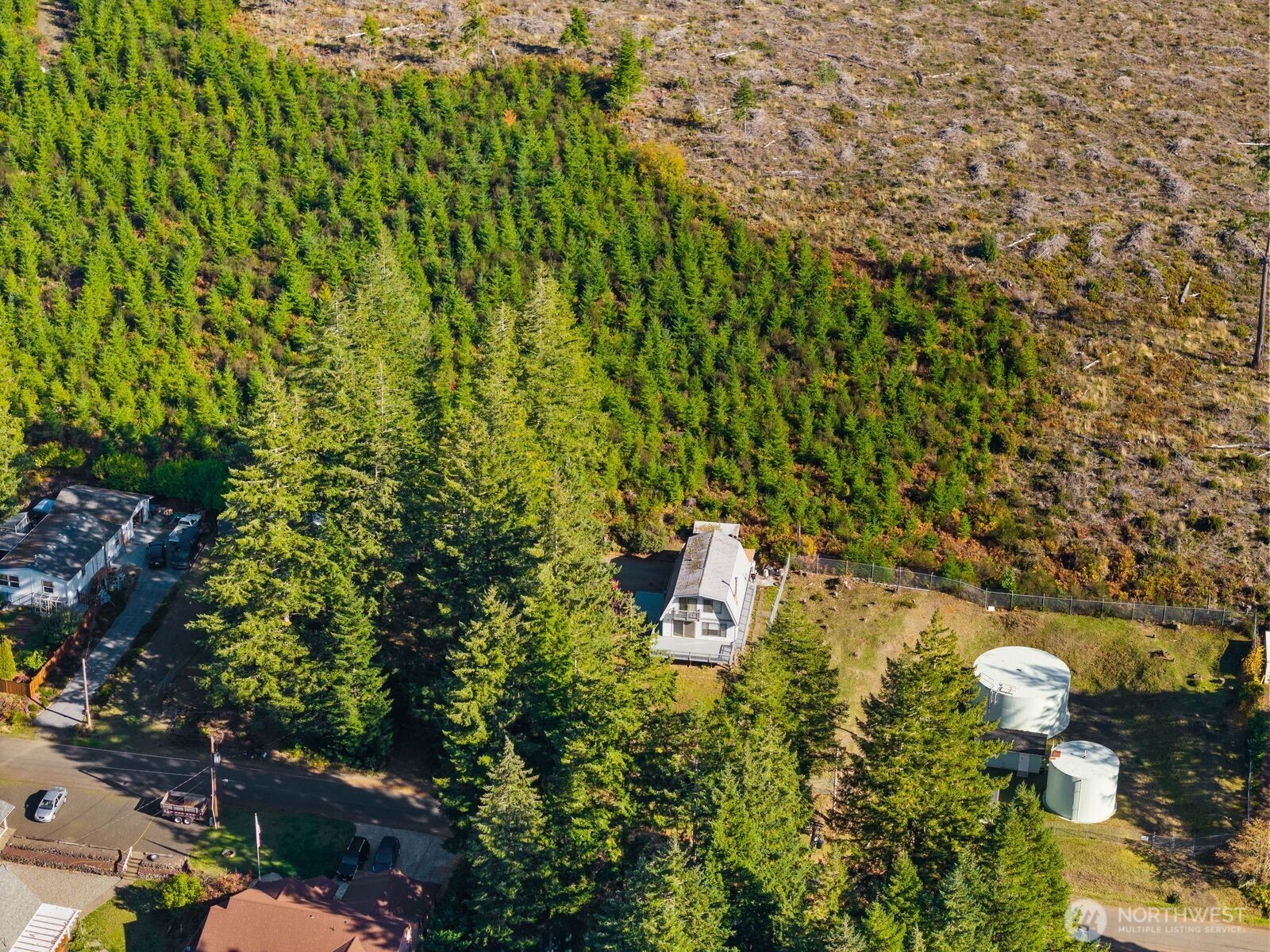 350 East Olympic Drive Grapeview, WA 98546 - Photo 40 of 40 a view of a bunch of trees and bushes
