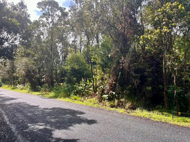 a view of a yard with plants and trees